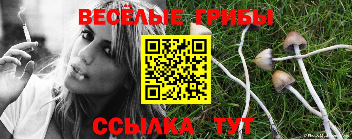 Братск  Псилоцибиновые грибы мухоморы  Вход с VPN  Галлюциногенные грибы Magic Shrooms 