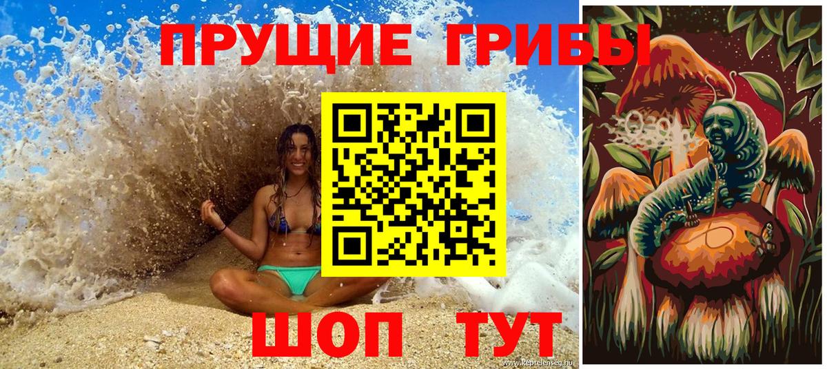 Галлюциногенные грибы GOLDEN TEACHER Братск